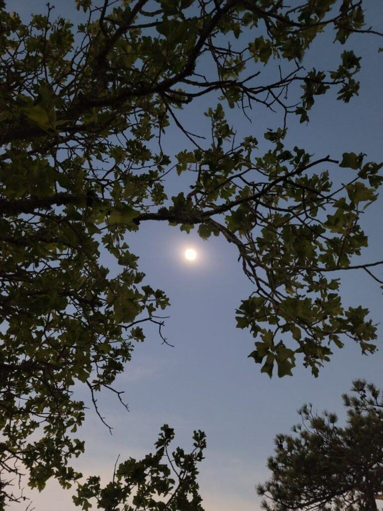 Total Eclipse over Little Rock, AR on April 8, 2024